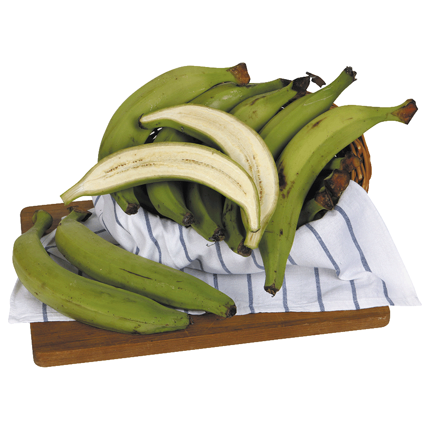 PLATANO MACHO EL KILO