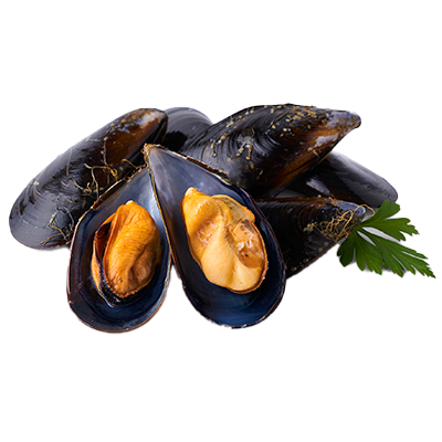 MEJILLONES EL KILO