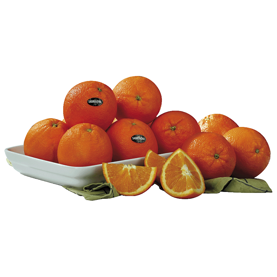 NARANJA DE IMPORTACI&Oacute;N MALLA DE 1.5 KILOS