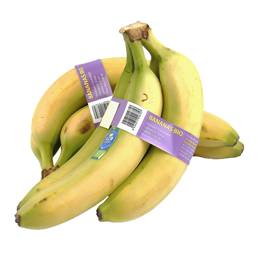 BANANA ECOLOGICA 1 KILO