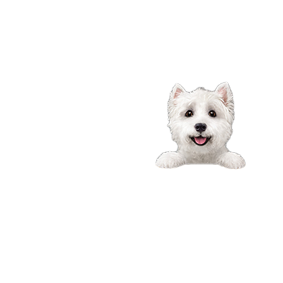 COMIDA PARA PERROS RECETA CAMPESINA 150 G. PACK 4