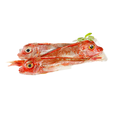 ESCACHO (GARNEO) EL KILO