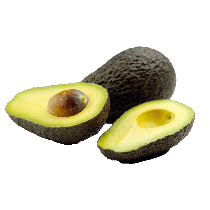 AGUACATE EL KILO