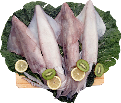 CALAMARES EL KILO