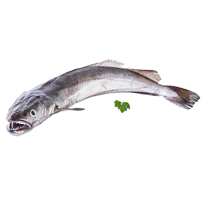 MERLUZA PINCHO EL KILO
