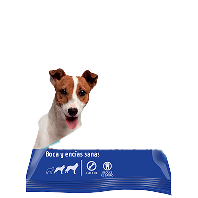 DENTAL STICK BOCA Y ENC&Iacute;AS SANAS 200 G.